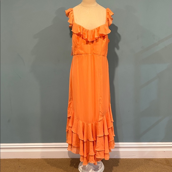 NEW Birdy Grey Ginny Dress Chiffon Apricot size XL Bridesmaid Wedding Ruffles - Picture 1 of 17